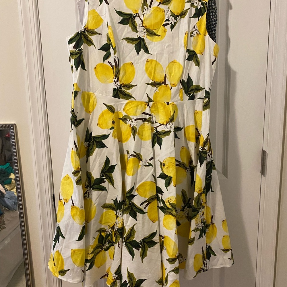 Lemon fit and flare dress NWT